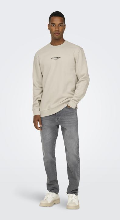 Actual product image Only & Sons Onscurated Reg Crew Neck Sweat Noos (L)