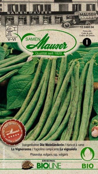 Produktbild Samen Mauser Stangenbohne Die Weinländerin (Gemüsesamen)