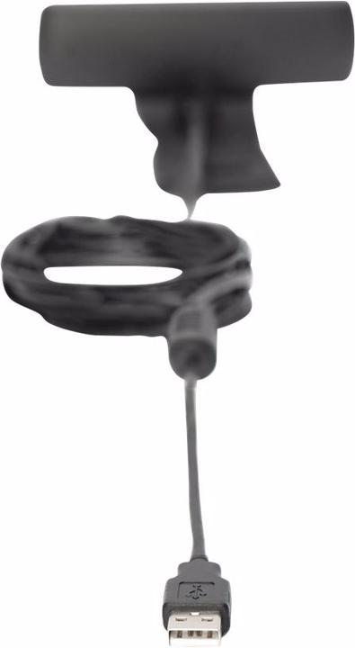 Productafbeelding Digitus DA-71901 (2 Mpx)