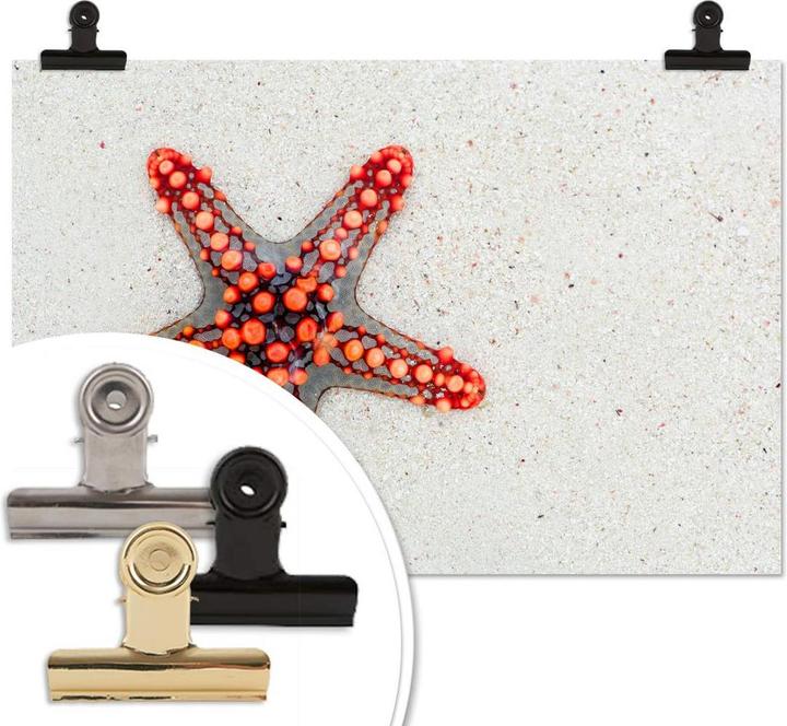 Produktbild Trenddeko Leuchtender Seestern (45 x 30 cm)