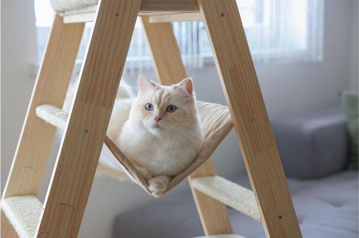 Produktbild Kerbl Kratzbaum Ladder für Katzen (134 cm, Wood colour, Braun, Beige)