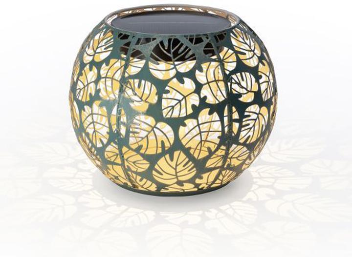 Image du produit STT Monstera