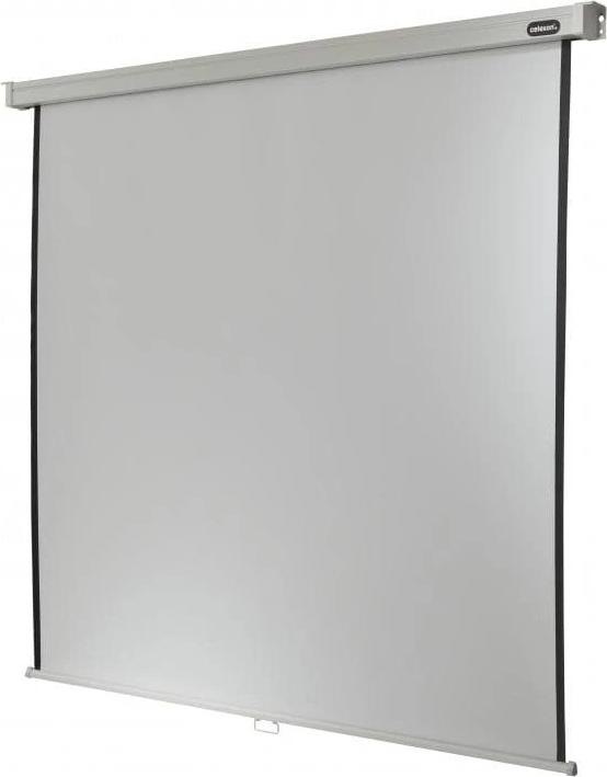 Image du produit Celexon Écran enroulable Professional Plus 280x210 cm 4:3 (137.80", 4:3)