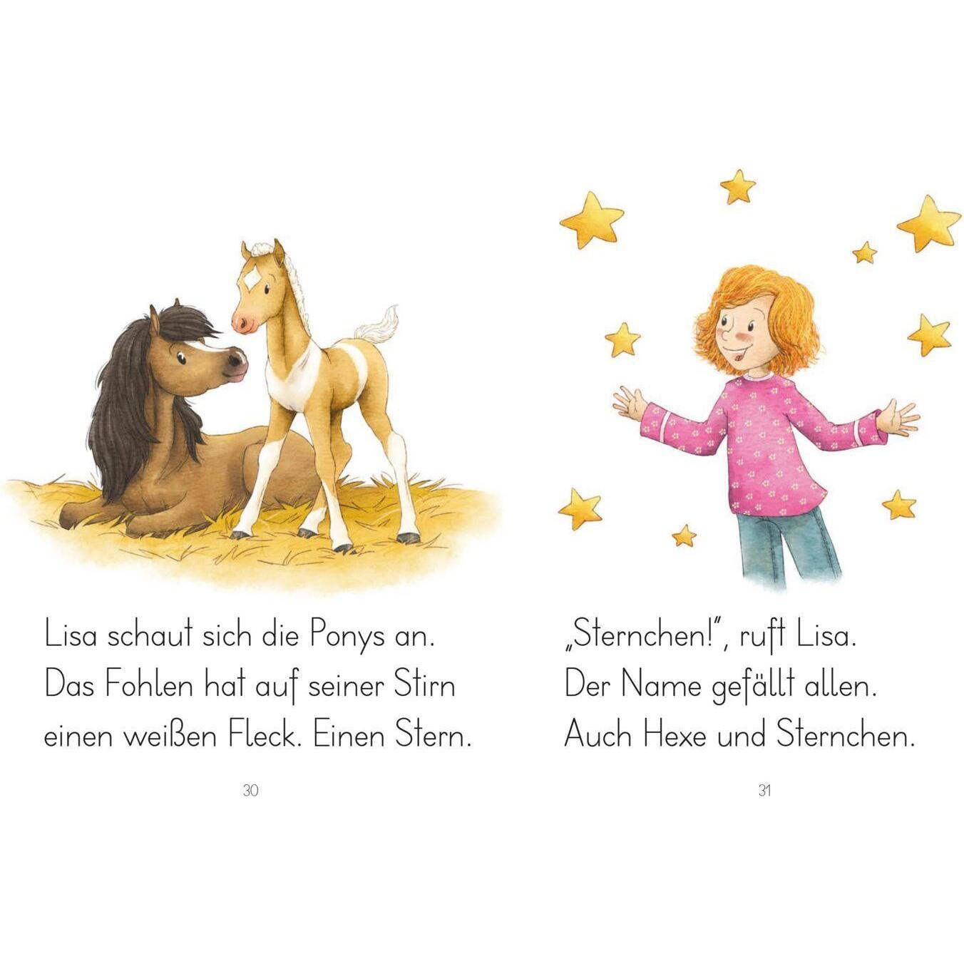 Thumbnail - LESEZUG/1. Klasse: Sternchen, mein Fohlen, Kinderbücher von Julia Gerigk, Barbara Schinko