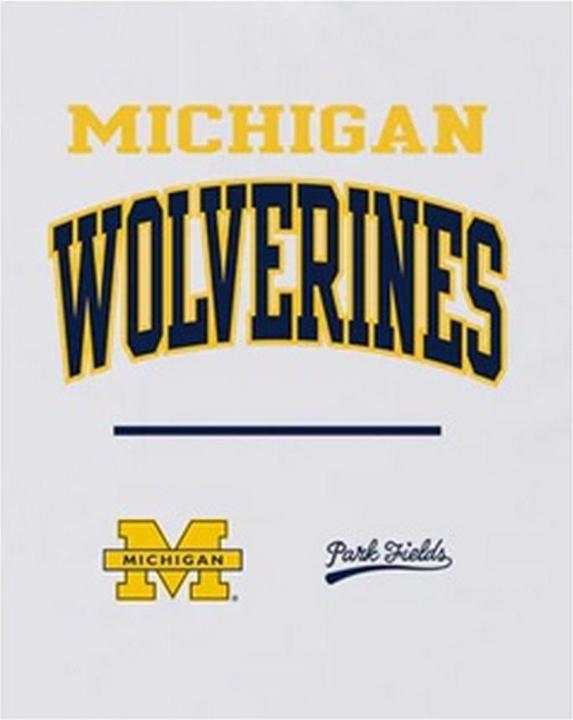 Actual product image Park Fields Unisex Adult University of Michigan Wolverines T-Shirt (XL)