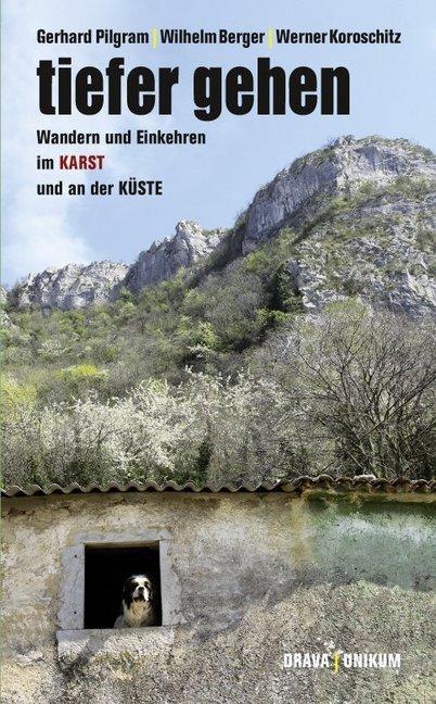 Produktbild Tiefer gehen (Deutsch, Gerhard Berger Pilgram, 2013)