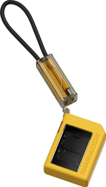 Actual product image Sharge Disk (M.2 2230)