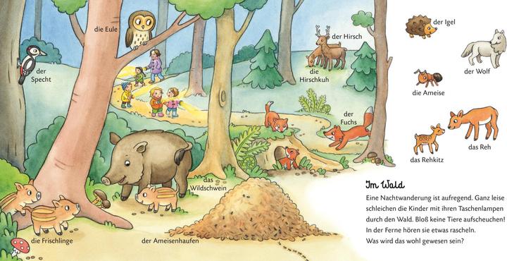 Actual product image Duden: Mein erster Wortschatz Bei den Tieren (German)