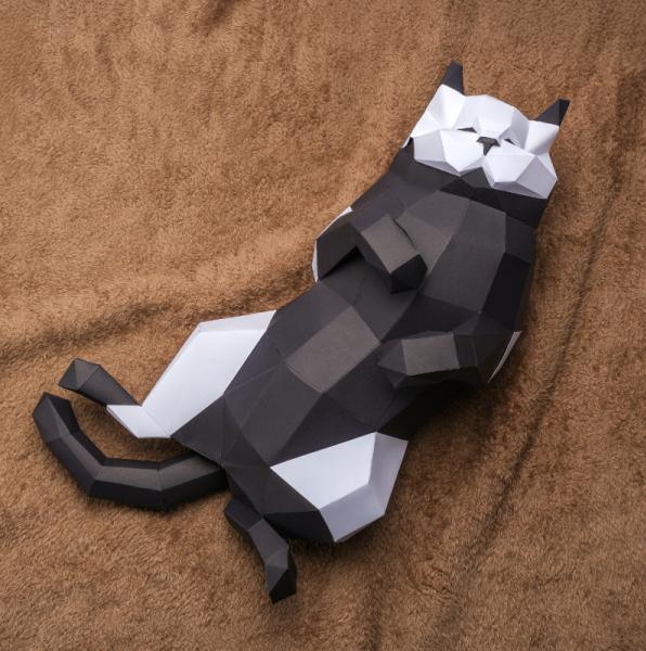 Image du produit Bambu Lab - Cardstock - White (25x)