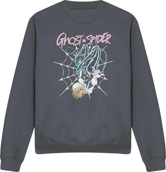 Produktbild Spiderman Sweatshirt (XXL)