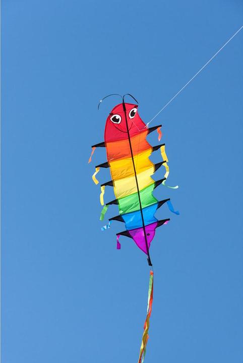 Immagine prodotto Invento Flapping Willie Worm