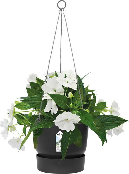 Produktbild Elho Greenville (23.50 cm)