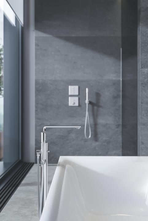 Actual product image Grohe Euphoria