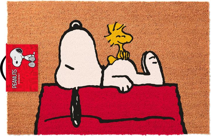 Image du produit Erik Snoopy - Dormir sur le toit (60 x 40 cm)