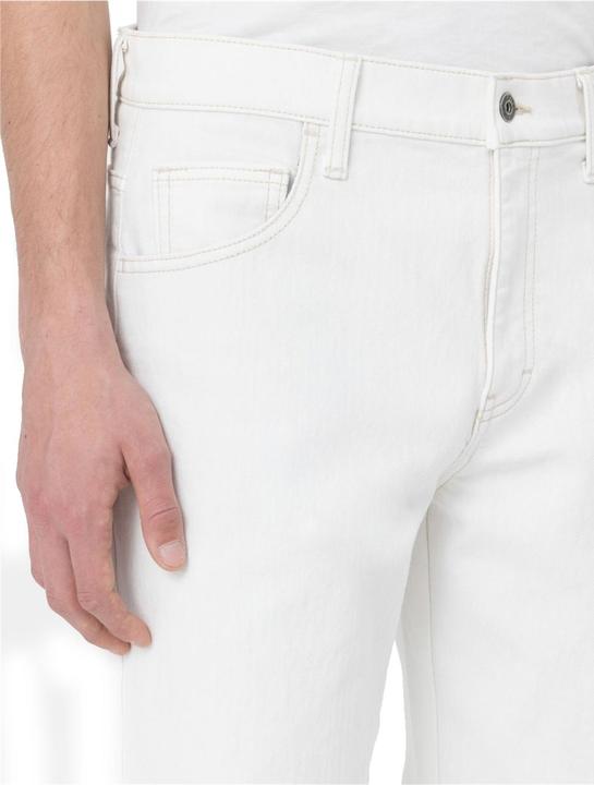 Actual product image Dickies Wingville Loose Pant (W34/L32)