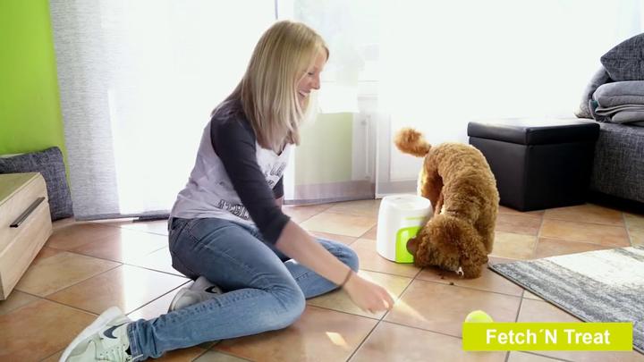 Image du produit All for Paws Jouet pour chiens (Jouet à balle chien)