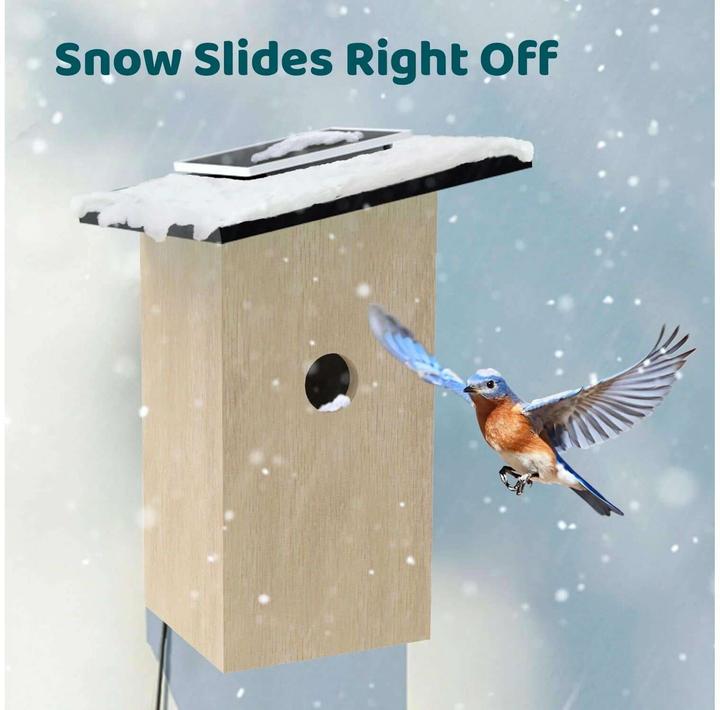 Actual product image Birdfy Nesting box with camera and solar