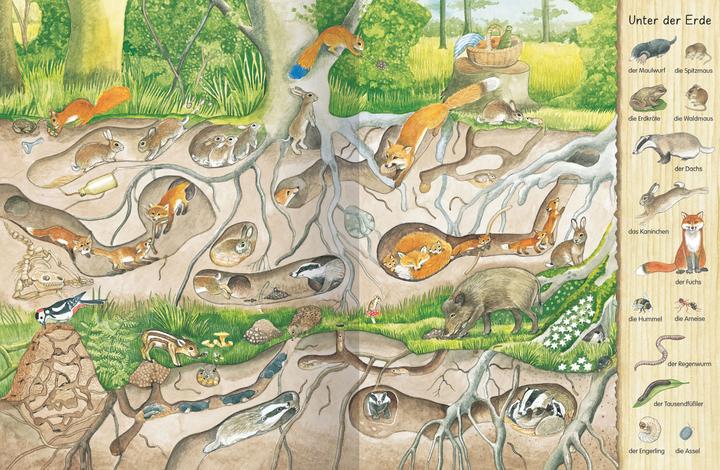 Immagine prodotto Mein erstes Wimmelbuch Im Wald (Tedesco, Christine Henkel, 2010)
