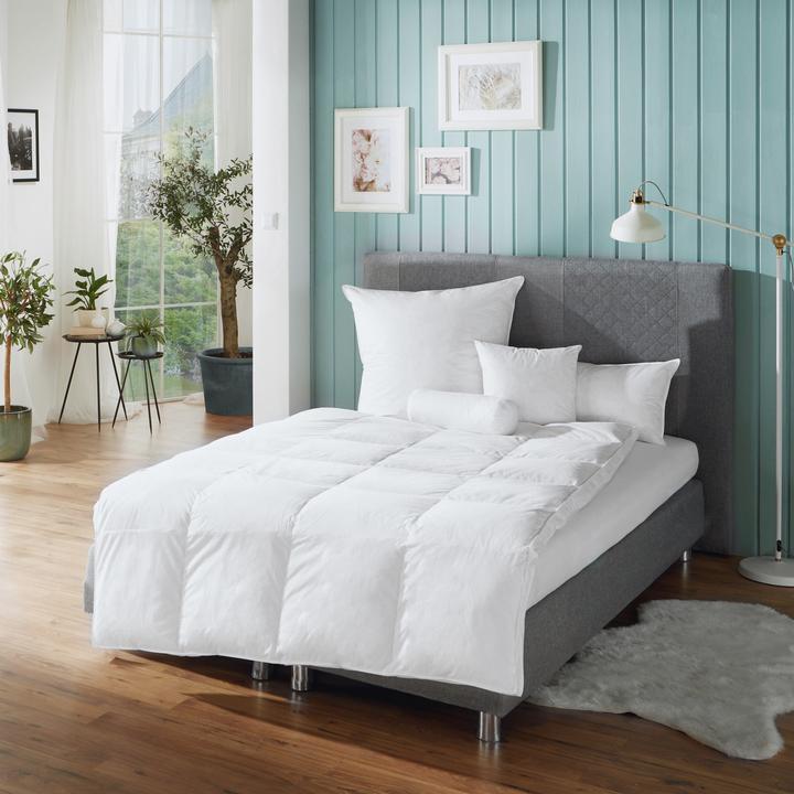 Image du produit Erwin Müller Toronto (135x200 cm)