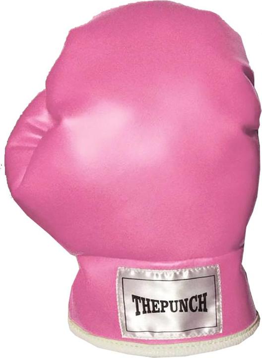 Image du produit Evolution Chaussures de boxe