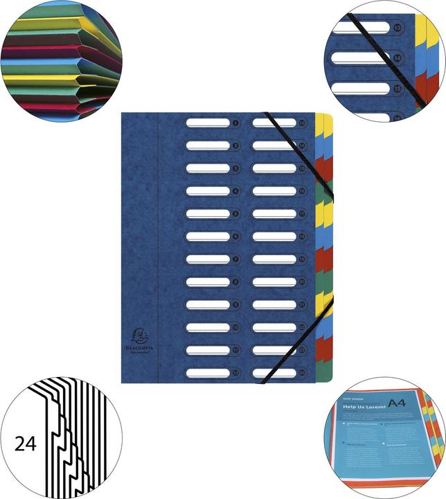 Actual product image Exacompta Folders (A4, 1 x)