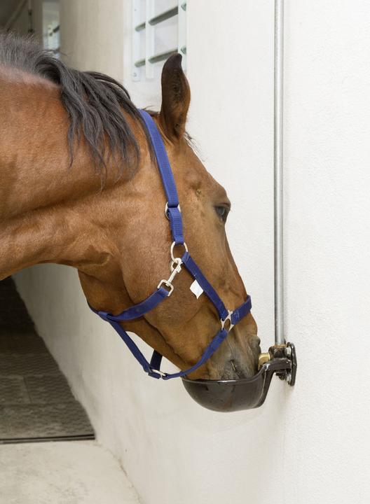 Produktbild Kerbl Tränkebecken mit Rohrventil G51
