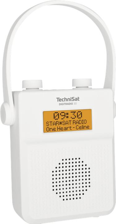 Actual product image TechniSat DigitRadio 30 (DAB+, Bluetooth)