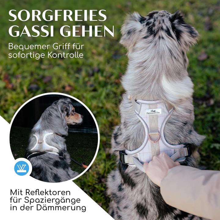 Actual product image Freudentier Clyde (S, Dog, General)