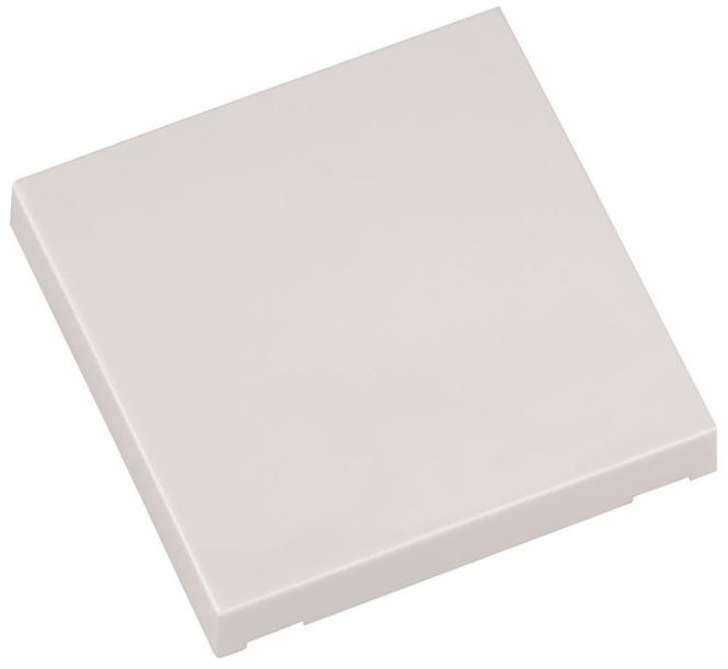 Eldat Taste Ein/Aus ws RTS22-ACC-02-02P f.Wandtaster RTS22 Format 55