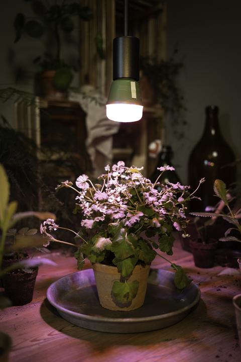 Produktbild Osram Homelighting (LED, 220 V)