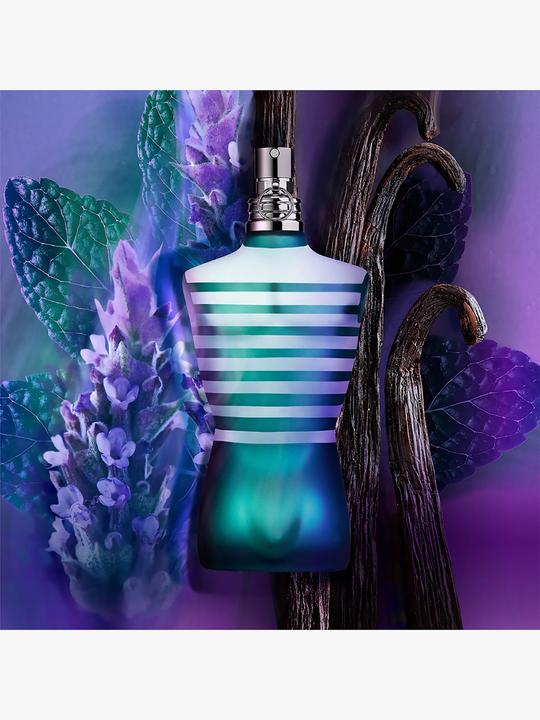 Image du produit Gaultier Le Male (Eau de toilette, 125 ml)