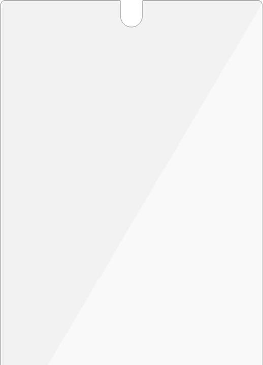 Actual product image PanzerGlass Google Pixel 6a AB (1 Piece, Google Pixel 6a)