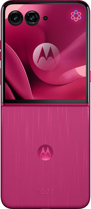 Productafbeelding Motorola Razr 60 Ultra (512 GB, Pantone Cabaret, 6.96", SIM + eSIM, 5G)