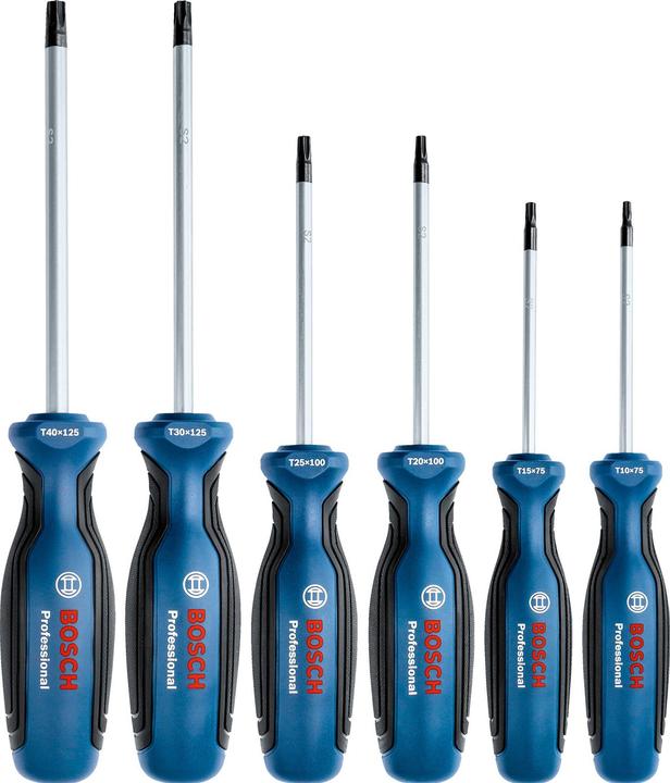 Actual product image Bosch Professional Screwdriver set 6 pcs (T-section)