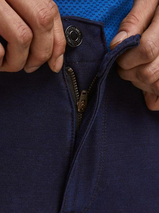 Actual product image Jack & Jones Paul Flake AKM 256 cargo pants
