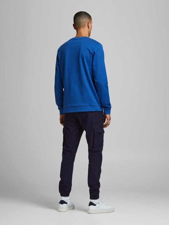 Actual product image Jack & Jones Paul Flake AKM 256 cargo pants