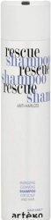 Actual product image Artego Artègo Rescue Shampoo Easy Care T 250ml (250 ml)