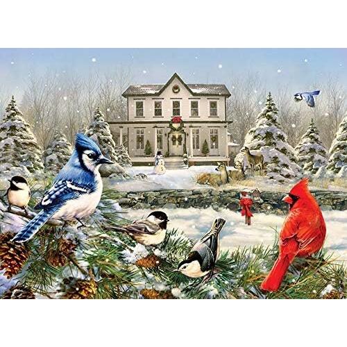 Thumbnail - Cobble Hill Puzzle Vögel des Landes 1000 Teile (1000 Teile)
