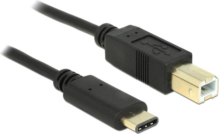 Actual product image Delock USB cables (0.50 m, USB 2.0)