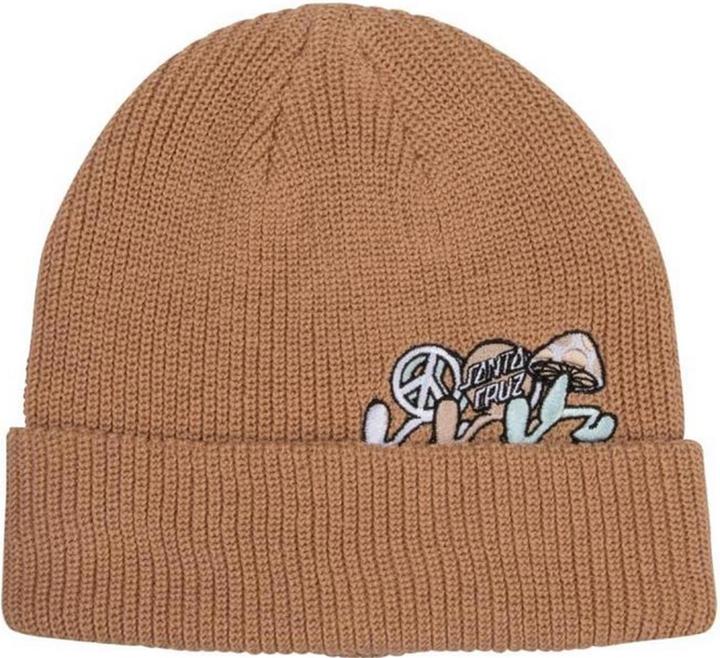 Actual product image Santa Cruz Journey Beanie