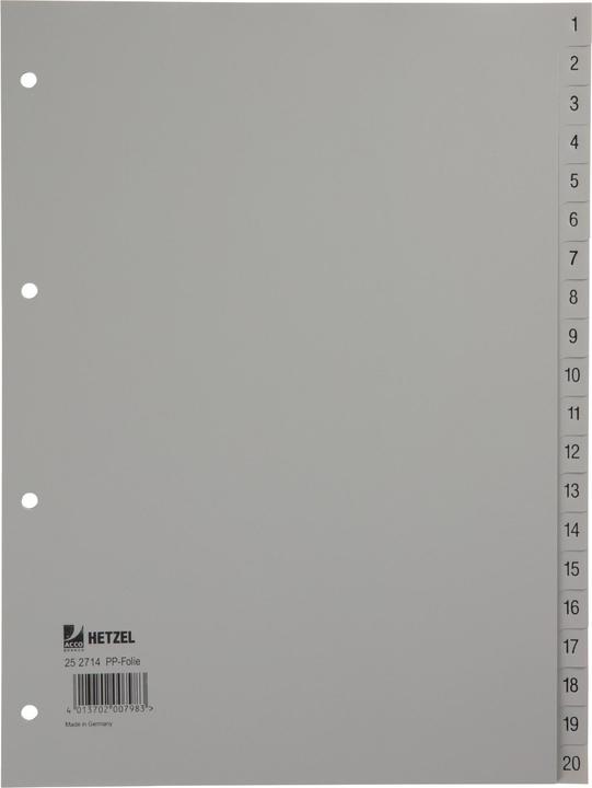 Image du produit Rexel Répertoire en plastique pour A4