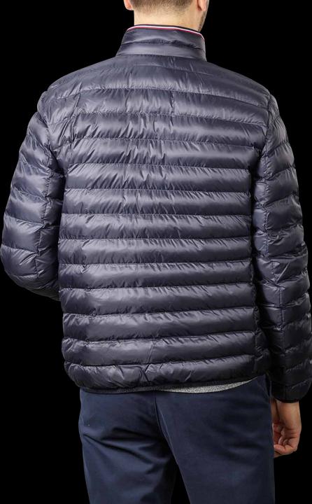 Image du produit Tommy Hilfiger Circular (M)