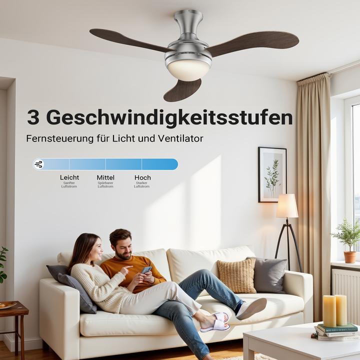 Actual product image Wiltec Ceiling fan (55 dB)