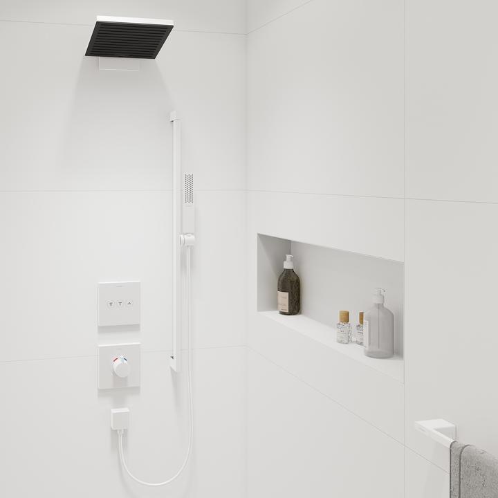 Produktbild hansgrohe Pulsify E Stabhandbrause 100, 1 Strahlart EcoSmart, 24320 (1 Strahlarten, 8 l/min)