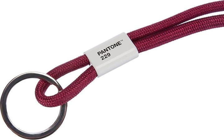 Actual product image Pantone Schlüsselanhänger
