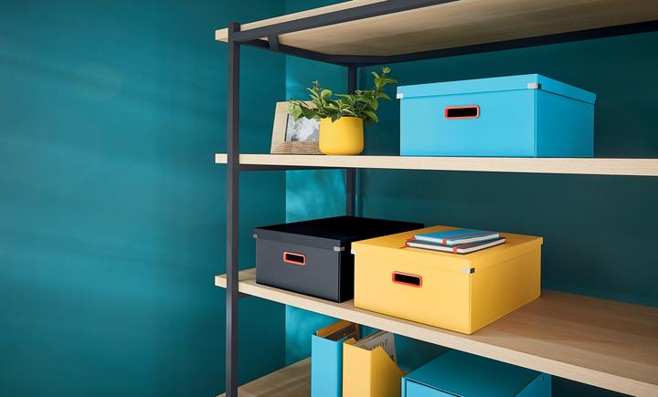 Actual product image Leitz CLICK & STORE COSY - Box Large (A3)