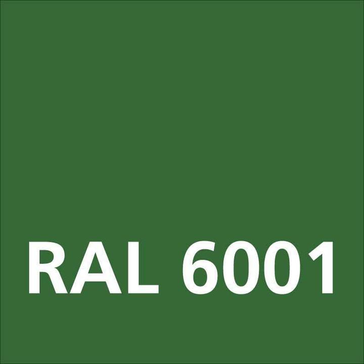 Image du produit Dupli-Color Peinture acrylique brillant RAL 6001 vert émeraude (Vert émeraude, 0.40 l)