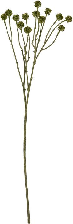 Immagine prodotto Hill Interiors Craspedia Pianta artificiale (60 cm)
