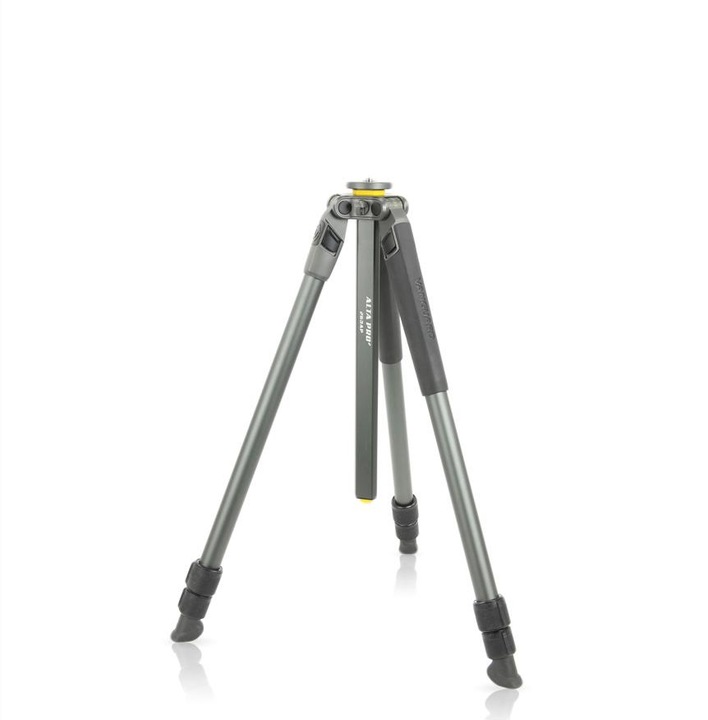 Produktbild Vanguard Alta Pro 2+ 263CB 100 (Carbon)