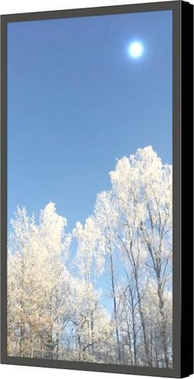 Produktbild HI-ND Wall casing Protect 50"", Landscape, QMC Black